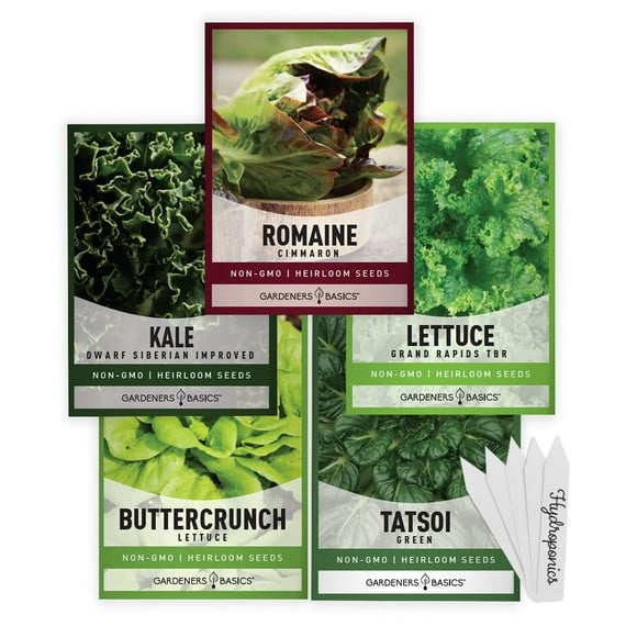 Hydroponic Seeds for Planting Planting Indoors and Outdoor 5 Variety Pack - Tatsoi, Kale, Buttercrunch, Romaine and Loose Leaf Lettuce Seeds by gardeners Basics