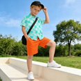 thumbnail image 5 of Dailycode Small Short Sleeve Button Down Shirts Turquoise White Gingham Casual Shirt 3-10 Years, 5 of 9