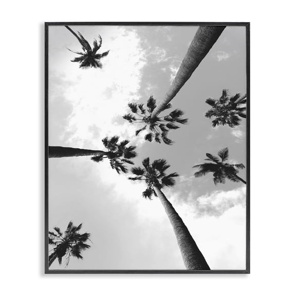 Stupell Industries Coastal Black and White Sky Through Palms Black Framed Giclee Art, 11 x 14, by Ziwei Li
