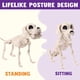 thumbnail image 4 of Figura de juguete JOYIN Posable con forma de esqueleto de perro para Halloween, 25 x 12 x 32 cm, 4 of 9