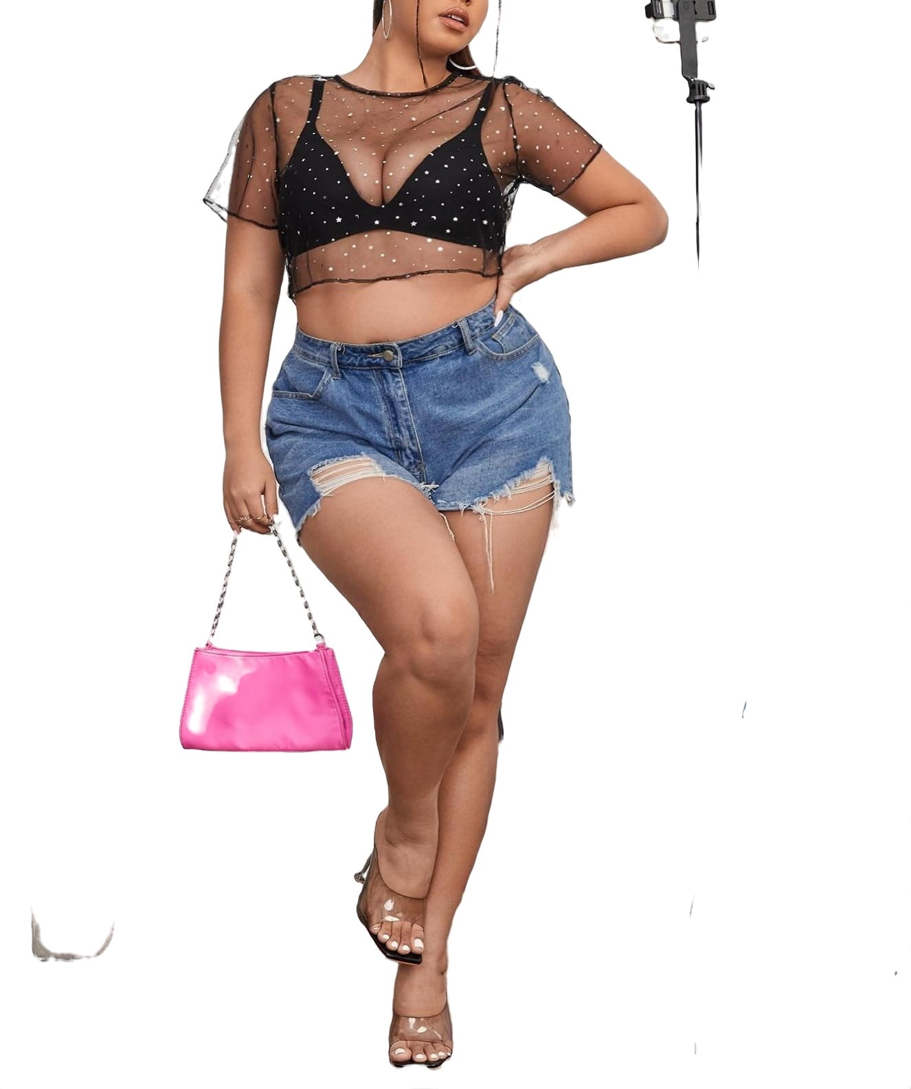 plus size sheer crop top