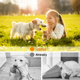 thumbnail image 2 of Dog Toys for Medium Dog - HappiFox 5 pcs Pet Teething Chew Toys, Teething Chew Toys for Small and Medium Dog, Colorful, Durable & Safe Tug of War Toys, Great Toys for Furry Friends, 2 of 6