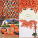 thumbnail image 3 of 12pack / Each 90 Inch , Artificial Maple Leaf Vine , Fake Foliage Autumn Leaves Garland Hanging Plant, 3 of 5