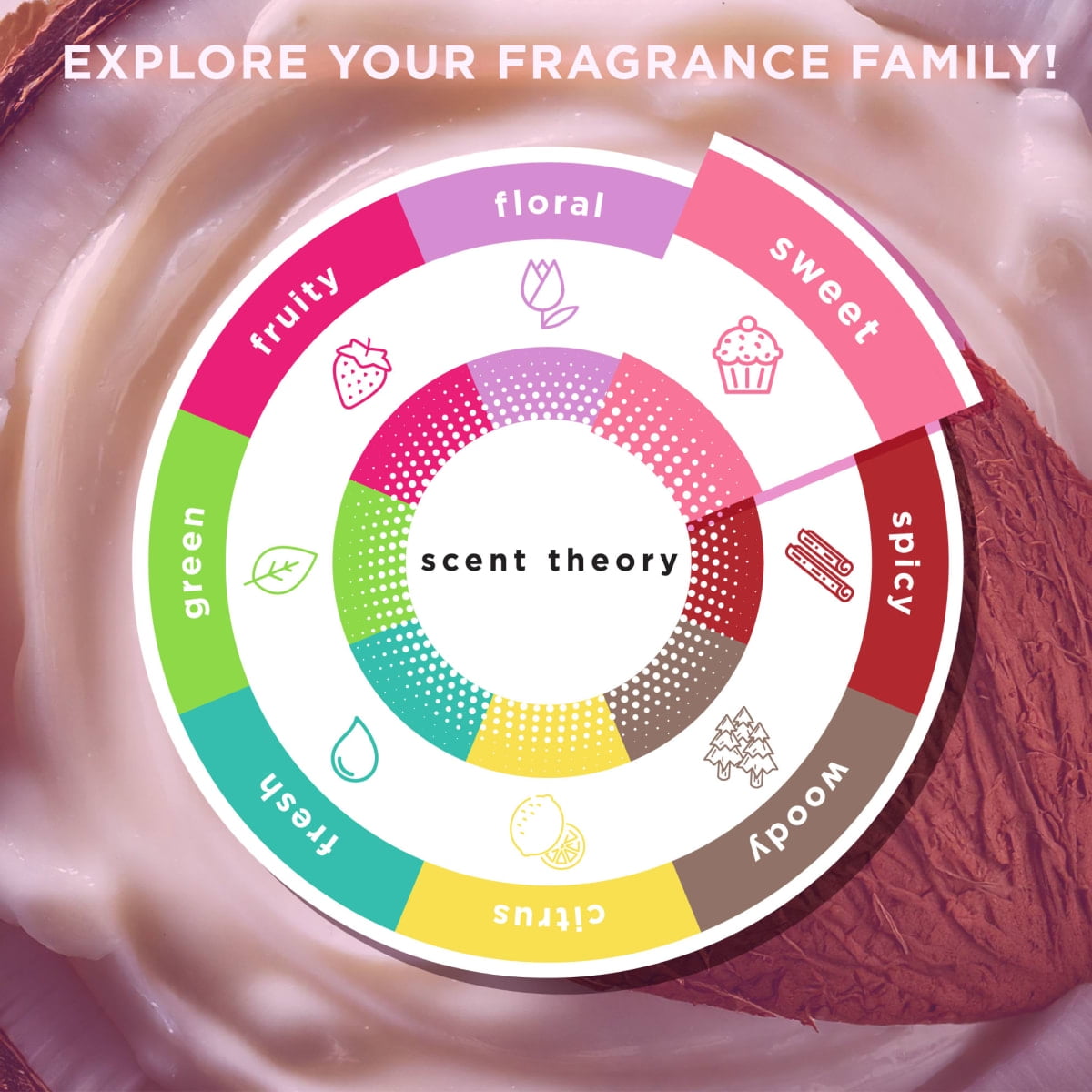 Scent Theory Hand and Body Cream with Shea Butter for All Skin Types, Coconut Dreams, 8 oz