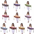thumbnail image 2 of Belly Dance Hip Wraps with 58pcs Multi-Color Sequin Dance Belt Skirt, 2 of 5