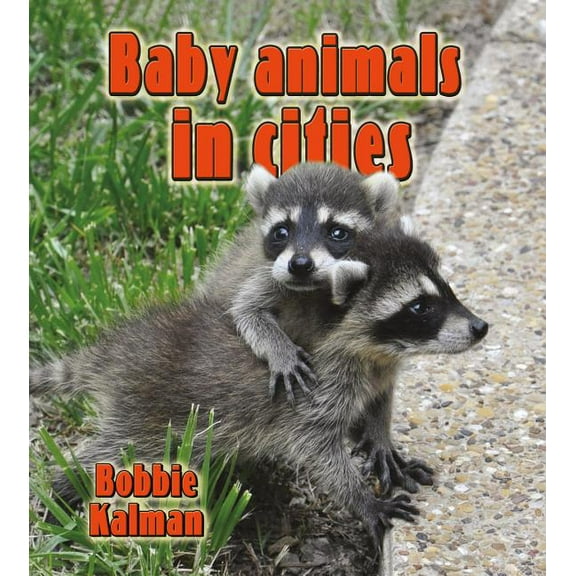 Habitats of Baby Animals: Baby Animals in Cities (Paperback)