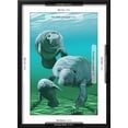 thumbnail image 5 of Art.com Manatees Art Print by Lantern Press, Black Frame Wall Art, 17" x 23", 5 of 5