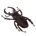 thumbnail image 3 of Figuras de Insectos Realistas Sunnimix, 3 of 8