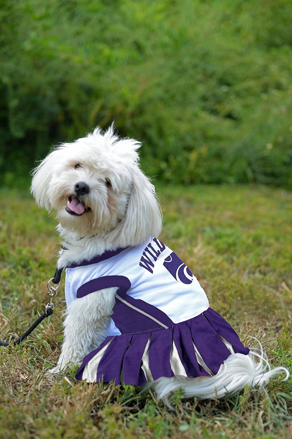 Pets First College Kansas State Wildcats Cheerleader, 3 Sizes Pet Dress Available. Licensed Dog Outfit