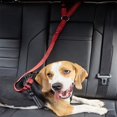 thumbnail image 4 of Keep Your Pet Safe On The Road: Adjustable Pet Seat Belts For Dogs And Cats!, 4 of 5