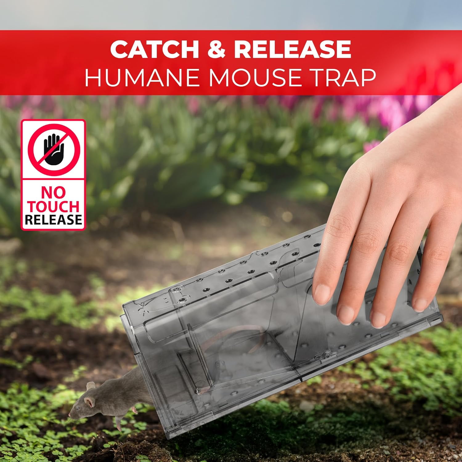 Humane Mouse Trap Pack of 4 - Live Mouse Traps Catch and Release Trap for Indoor and Outdoor Use - Reusable Mouse Traps, Safe & Effective No Kill Mouse Traps - Humane Mouse Traps Catch and Release