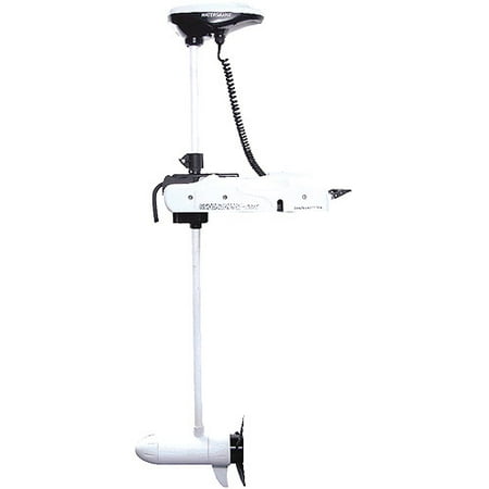 Watersnake SWXB80-54 SW Motor