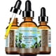 thumbnail image 1 of Aceite Vegetal Botanical Beauty de Semilla de Grosella Negra 60 mL, 1 of 7