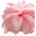 1 2 Lb 14 17 Baby Ostrich Large Drab Wholesale Feathers Bulk 1-2-lb-14-17-baby-ostrich-large-drab-wholesale-feathers-bulk