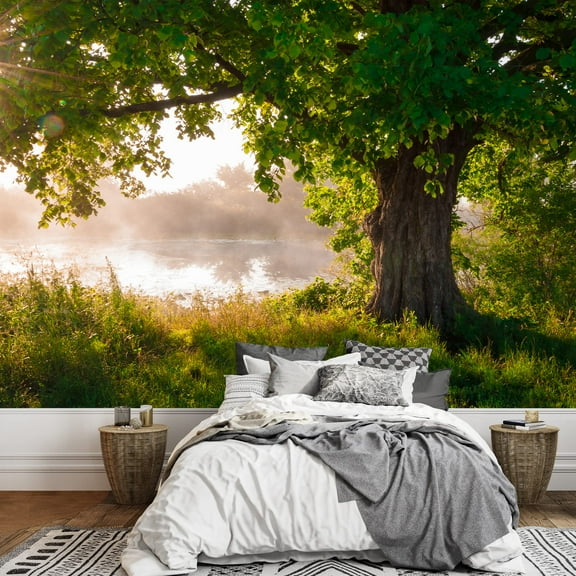 wall26 - Oak Tree in Full Leaf in Summer Standing Alone - Removable Wall Mural | Self-Adhesive Large Wallpaper - 66x96 inches