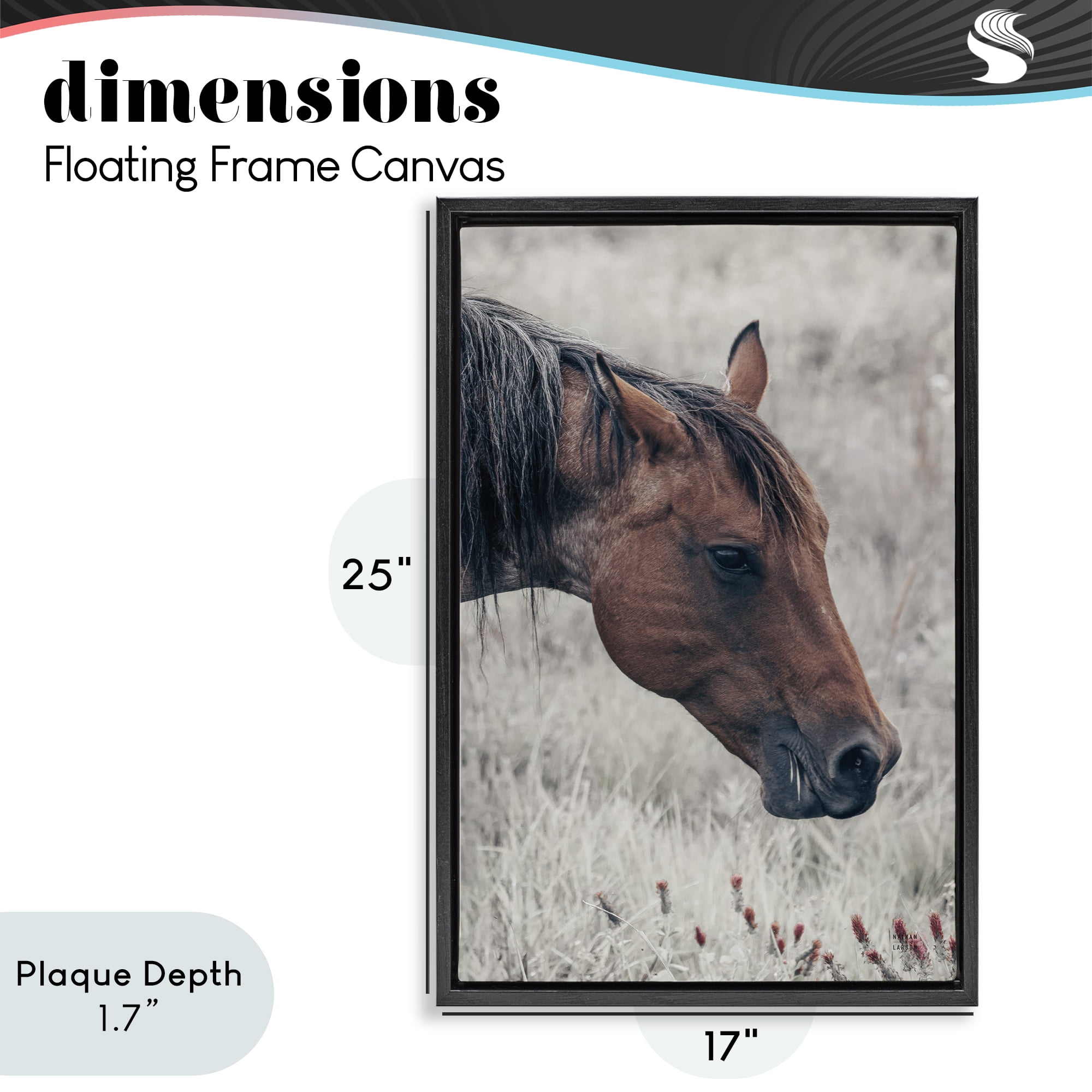 Stupell Industries Mother Horse Grazing in Meadow Black Framed Floater Canvas Wall Art, design by Nathan Larson