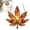 Yellow1002, variant on Maple Leaves Stained Glass Window Hanging Fall Leaves Decor Fall Leaves Acrylic Suncatcher Maple Leaf Fall Decor Autumn Leaves Stain Glass Window Hanging Fall Decorations for Home Hanging Ornament A