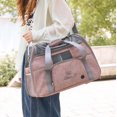 thumbnail image 3 of Ventilated Pet Carrier for Cats, Travel & Vet Visits, Portable Kennel with Breathable Mesh, Spacious Design, 3 of 4