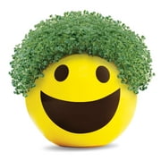 Emoji Smiley Chia Pet Handmade Decorative Planter by JEI