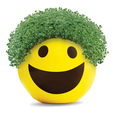Emoji Smiley Chia Pet Handmade Decorative Planter by JEI