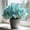 B, variant on Butterfly Flower Hostas Cultivation Granules,Bloom Year After Year-(Non-Artificial)-Fast Growing-Home Decoration-Beautiful Gift Garden-Ornamental-Premium Garden Stakes