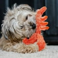 thumbnail image 5 of Electric Stuffed Toy Moving Lobster Wiggle Jumping Dog, 5 of 7