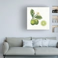 thumbnail image 3 of Sue Schlabach 'Classic Citrus III' Canvas Art, 3 of 3