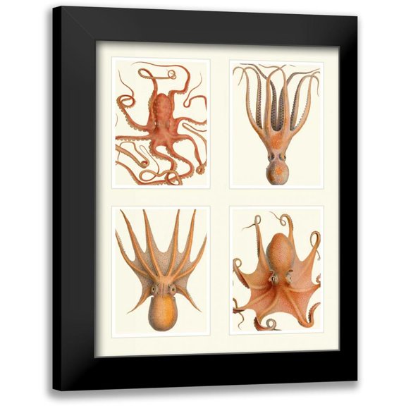 Fab Funky 12x14 Black Modern Framed Museum Art Print Titled - Octopus on 4 Panels