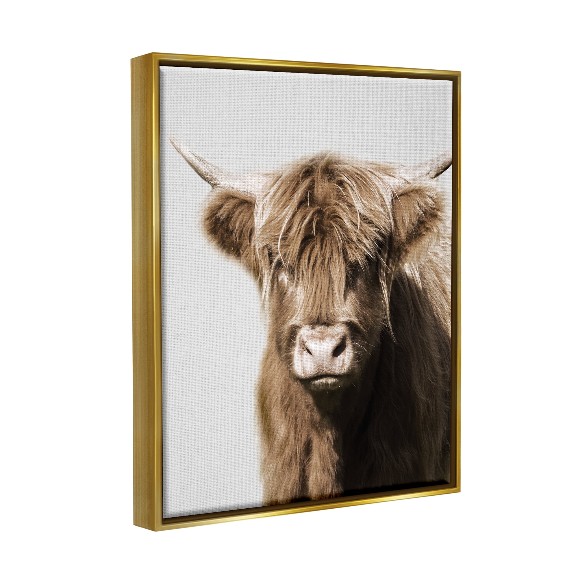 Stupell Industries Highland Cattle Close-Up Animals & Insects Photography Gold Floater Framed Canvas Art Print Wall Art, 17 x 21