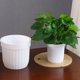 thumbnail image 1 of ADDHAT 5Jgo Macetero Plástico Automático Absorbente De Para Plantas Con Absorbente, 1 of 6