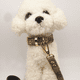 thumbnail image 5 of Collar de cuero para perro, suave, duradero, resistente al agua, ajustable, 5 of 6