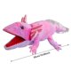 thumbnail image 2 of 1 Unidad De Marionetas De Mano 3 Tipos De Marionetas De Animales Blandas Para Niños Pequeños Marionetas Marionetas De Mano Marionetas Para Niños Marionetas De Mano Juguetes Para Niños Mayores De 2 A, 2 of 3
