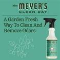 thumbnail image 4 of Mrs. Meyer's Clean Day Multi-Surface Cleaner, Basil, 16 oz, 4 of 9