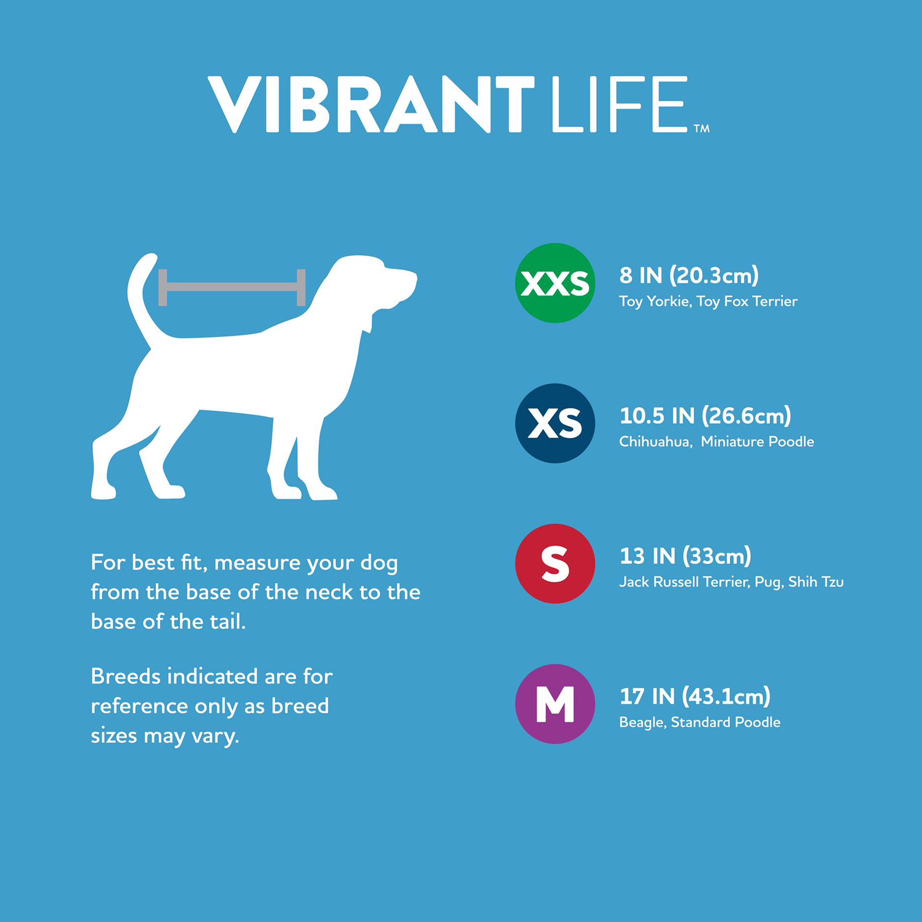 Vibrant Life The Snuggle Is Real Cat and Dog T-Shirt, Blue, Small