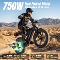 thumbnail image 5 of Electric Bike for Adults, 20"x4.0 Fat Tire E-Mountain Bicycle (Age 18+), 750W Motor 48V 15Ah Removable Battery 20 mph E-Bike, Tested to UL2849 Standard by SGS, 5 of 11