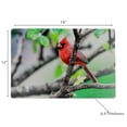 thumbnail image 2 of Placemat En Plastique Cardinal 12 X 18 - Ensemble De 12, 2 of 3