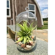 (6 pack) Akasha 16 Oz. Decorative Rocks, Peach