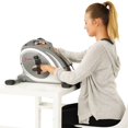 sunny desk bike