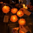 thumbnail image 4 of 9.8 Ft Marigold LED String Lights, Battery Operated Waterproof Decorative Lights for Halloween Day of Dead Party, Mexico Flower for Home Garden Patio Indoor Outdoor, 20 Lights, 4 of 4