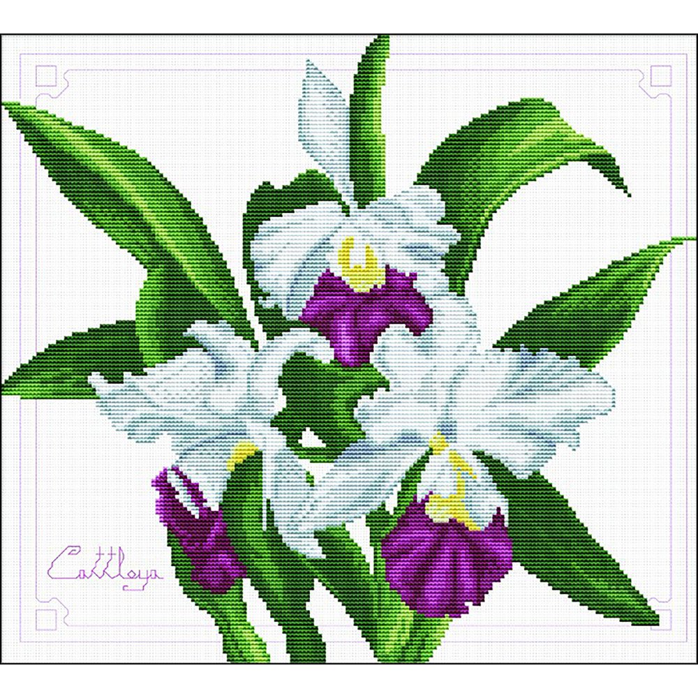 Needleart World No Count Printed Cross Stitch Kit 16"X14.5"-Bouquet Of