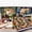 Basic, variant on Lost Ruins of Arnak Board Game 2-5 Players Family/Party Funny Table Game Friends Entertainment Strategy Game