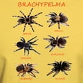 thumbnail image 3 of CafePress - Brachypelma T Shirt - Men's Classic Graphic T-Shirt, 3 of 4