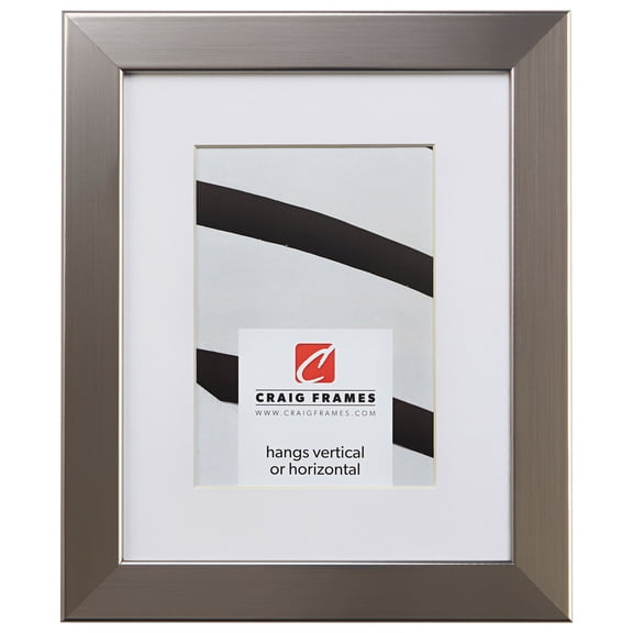 Craig Frames Bauhaus 125, 22x28 inch Stainless Silver Picture Frame Matted for an 18x24 Photo