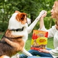 thumbnail image 6 of Jungle Calling Peanut Butter Dog Treats, Dental Chews for Dogs, Rawhide Free Dog Bones 2.5'' for Small Dogs, 6 of 9