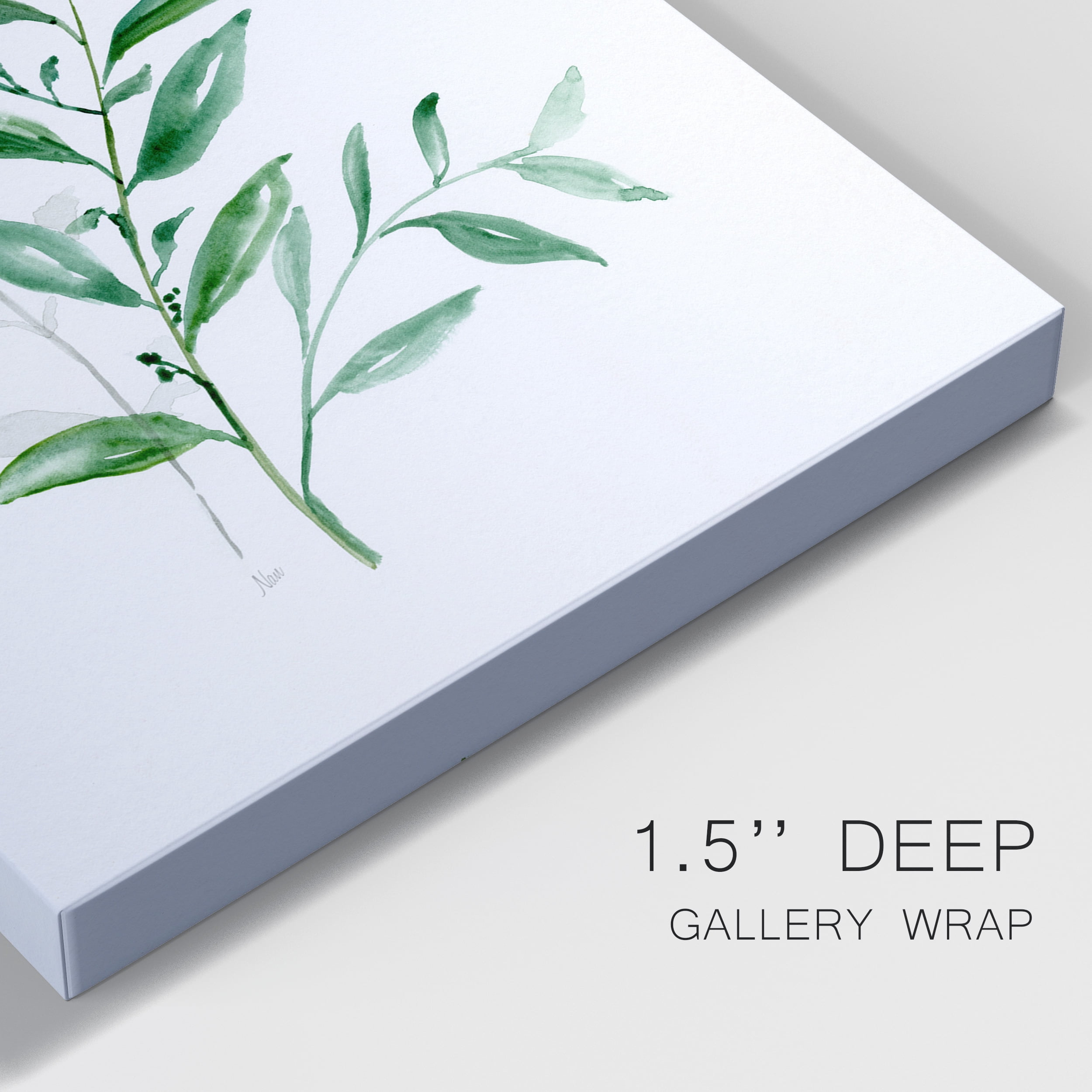 Freshly Picked III Premium Gallery Wrapped Canvas - Ready to Hang - 24 x 36