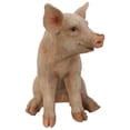 thumbnail image 3 of Sitting Pig Outdoor Garden Statue - 18", 3 of 6