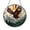 Acrylic 3.5 Inch, variant on Hawk Mountain Scene Stained Glass Style Suncatcher, Wildlife Decorative Window Hanging Art
