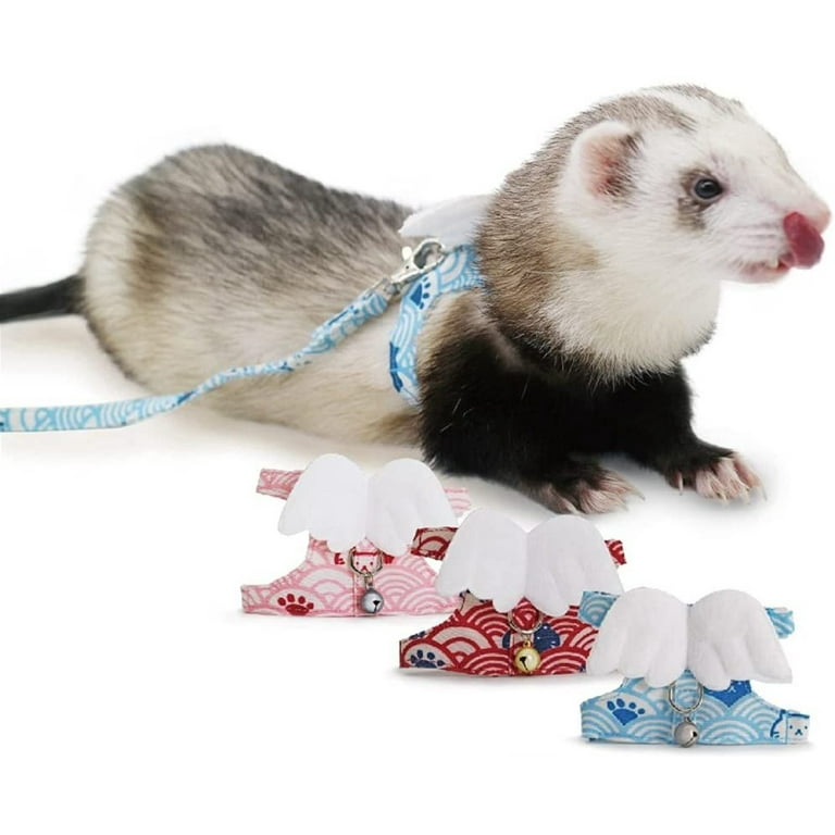 Ferret leash top and harness