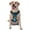 With Accessories, variant on Vsdgher Machinery Road Construction Pattern Dog Harness,No Pull Pet Harness with Soft Padded Handle,Adjustable Reflective Vest with 2 Buckles,4 Slide Buckles,S-XL X-Large
