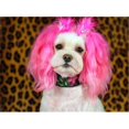 thumbnail image 1 of Advanced Graphics 1611 Princesse de Beverly Hills et 90210 Chien en Carton Debout, 1 of 1